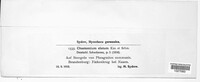 Chaetomium elatum image